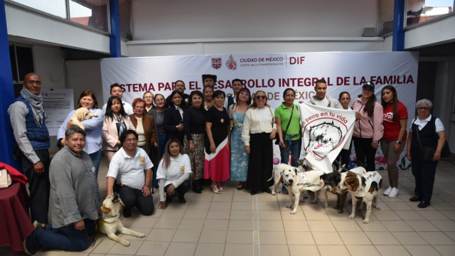 Por primera vez, DIF CDMX apoyará con alimento a fundaciones de seres sintientes